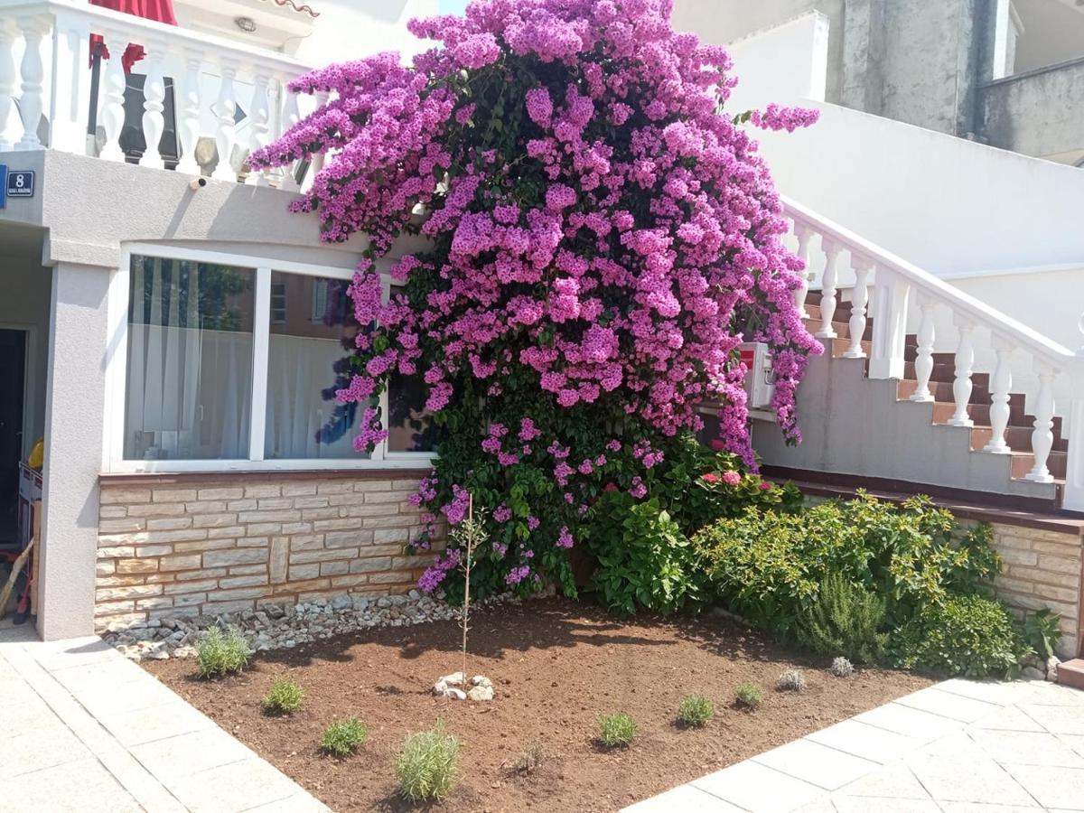 Cherish Novalja Exterior foto